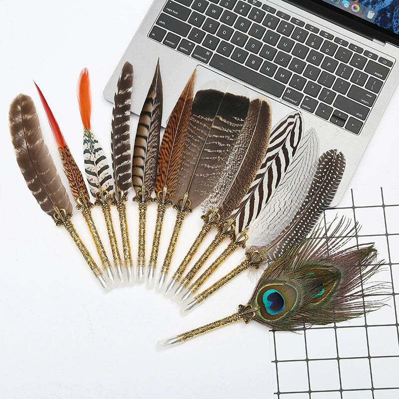 Natural Peacock Feather Ink Pen Set, Ink Writing Set with Gift Box